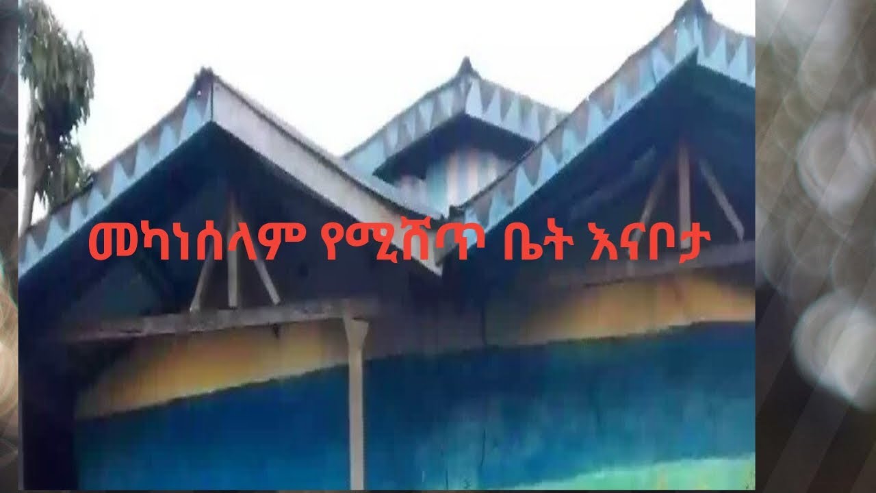 መካነሰላም እና አካባቢዋ የሚሸጥ ቤት ኑ ልጠቁማችሁ ላይክ ሸር ሰብስክራይብ በማድረግ ቤተሰብ ሁኑ💌💌#ebstvworldwide #donkey #tatequotes