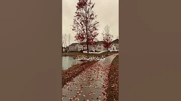إن المسلمين و الكلمات سورة اللحزاب الشيح صلاح بوخاطر Quarn 