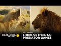 Hyenas and Lions: Behavioral Insights