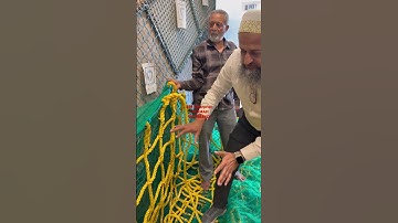 20 mm pp rope 3 layer safety net.  Very very high quality.