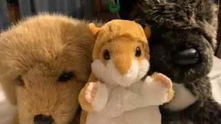 How to PROPERLY wash AND dry your stuffed animal/plushie/essa! (Extended version) #essa