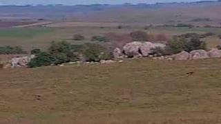Uruguay: Flores Parte 2