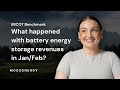 ERCOT: What did battery energy storage revenues look like in January and February 2024?
