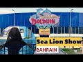Sea lion show  dolphin resort  bahrain vlog travelwithg123