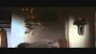 Bruce Willis Die Hard Dvd Fail