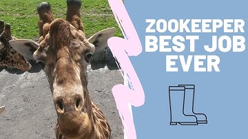 So your looking to be a zookeeper? Tips And Helpful Links