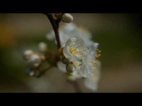 Прогулка в апреле. Святой источник.