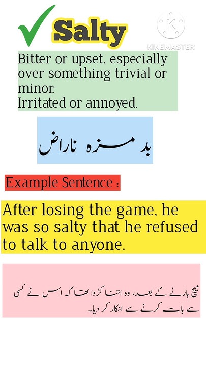 are-you-salty-salty-meaning-in-urdu-shorts-english-speakenglish