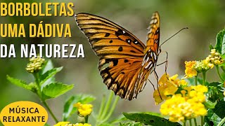 Borboletas - Uma Dádiva da Natureza - Música Relaxante screenshot 1