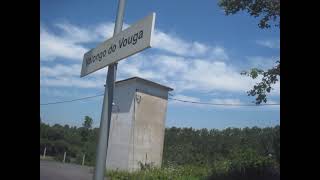 LINHA DO VOUGA. 30. VALONGO DO VOUGA