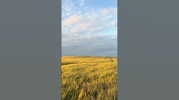 تلاوة ندية🌿