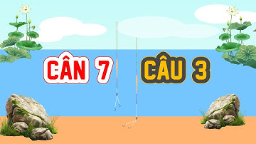 Hướng Dẫn Cân Phao Câu Đài Cơ Bản | Cân 7 Câu 3 | Yong Feng 97