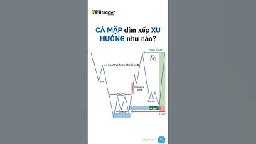 Cá mập dàn xếp xu hướng #crypto #forex #nikitrader #dautu #taichinh #smc #chungkhoan #chứngkhoán