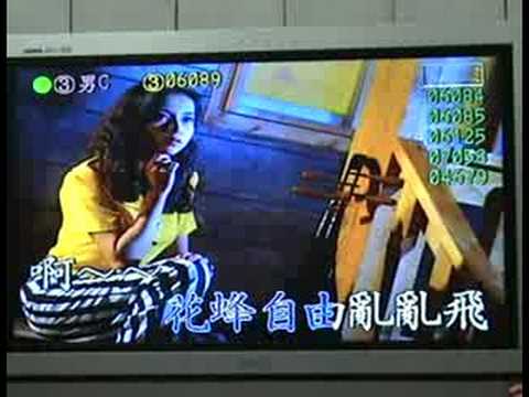 青春嶺