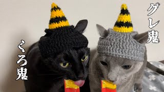 【ネコ用帽子】もうすぐ節分　　鬼の帽子編みました