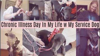 chronic illness day in my life vlog w a service dog 2023