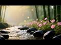 V Spa Body Spa Inner Peace and Gentle Music for Deep Relax Sleep