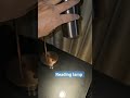 Reading lamp