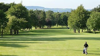 Sienna   Limerick Golf Club