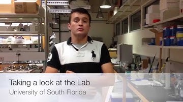 A look into the Environmental Engineering Lab at USF