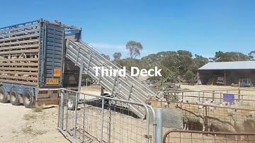 6m portable loading ramp