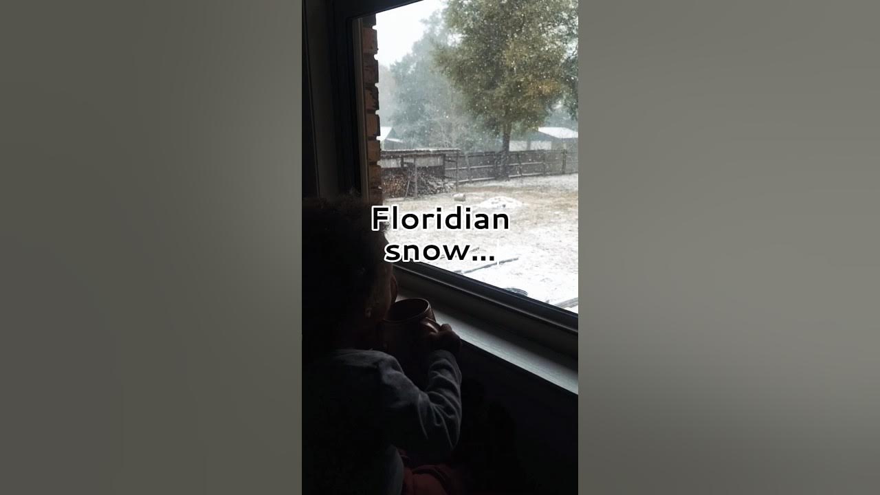 Florida snow 2025 snow 2025 shorts YouTube
