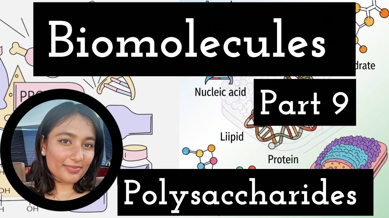 Complete Polysaccharides || Biomolecules || Part 9