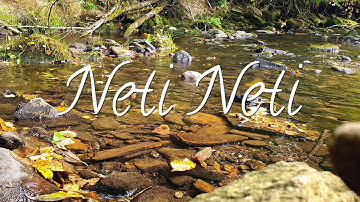 Neti Neti | Guided Meditation