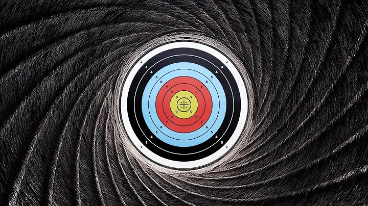 How to Bore Sight a Gun [No Shooting]