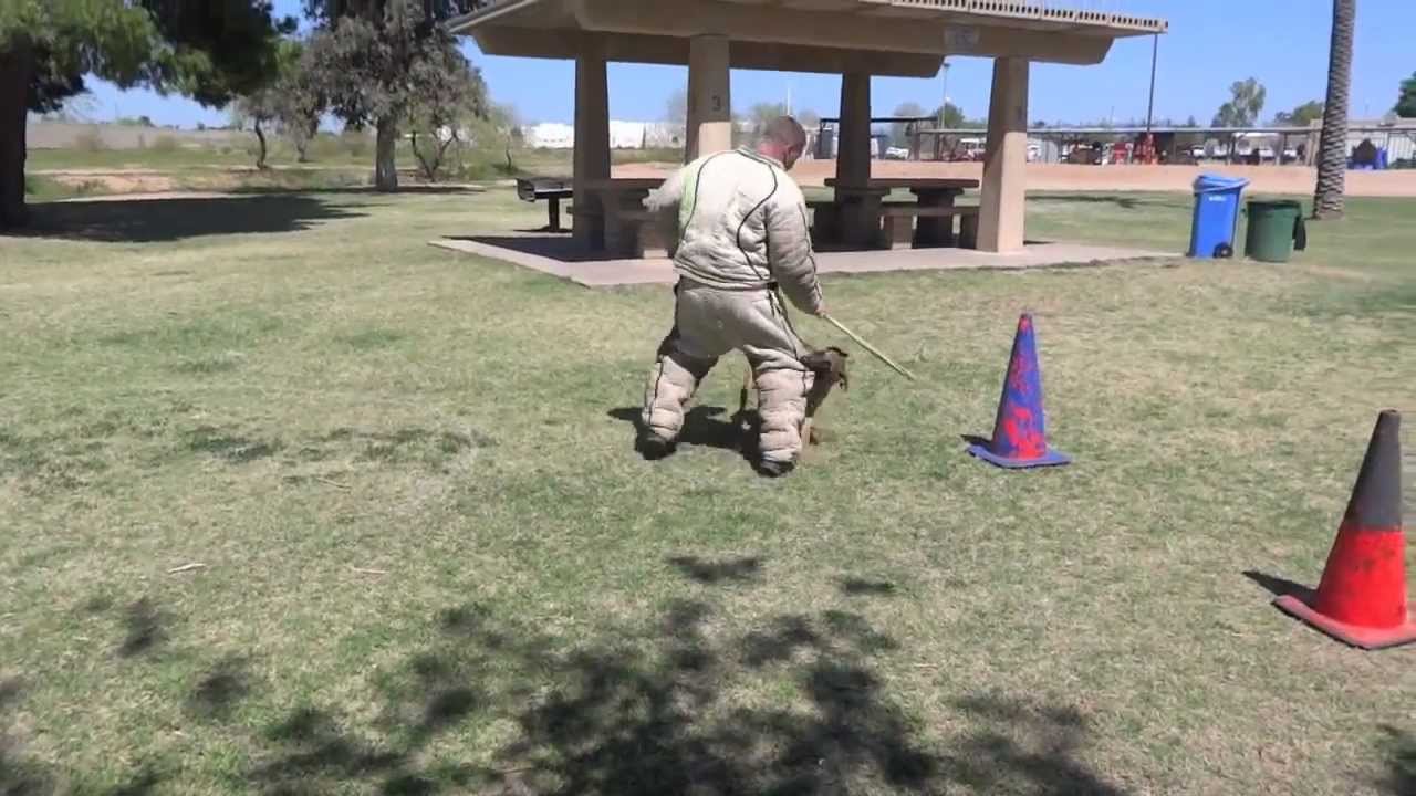 Mastering the TRIPLE Esquive with Bob Solimini!