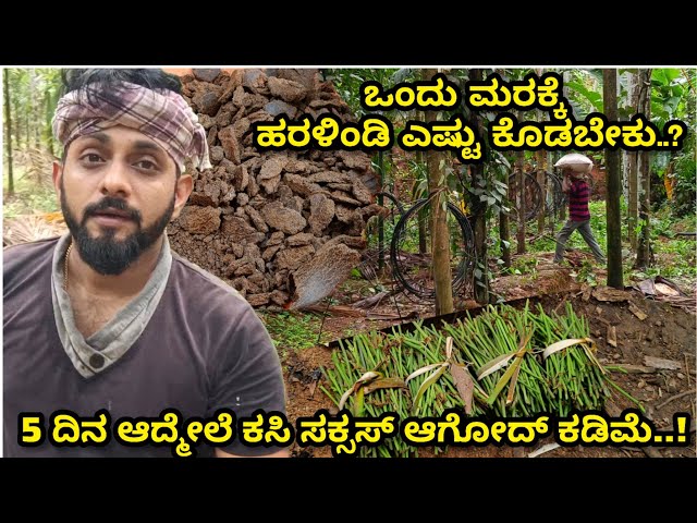 ಸಾವಯವ ಗೊಬ್ಬರ ಕೊಡೋ ಟೈಮ್ | Farming Video | Arecanut Farming | Kannada Vlog | class=