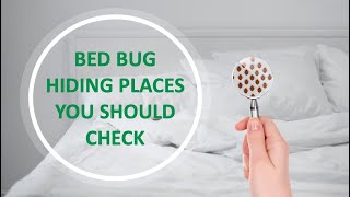 Bed Bug Hiding Places you Should Check