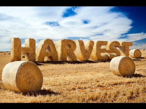 Create  Stylized Hay Bale Typography in Photoshop