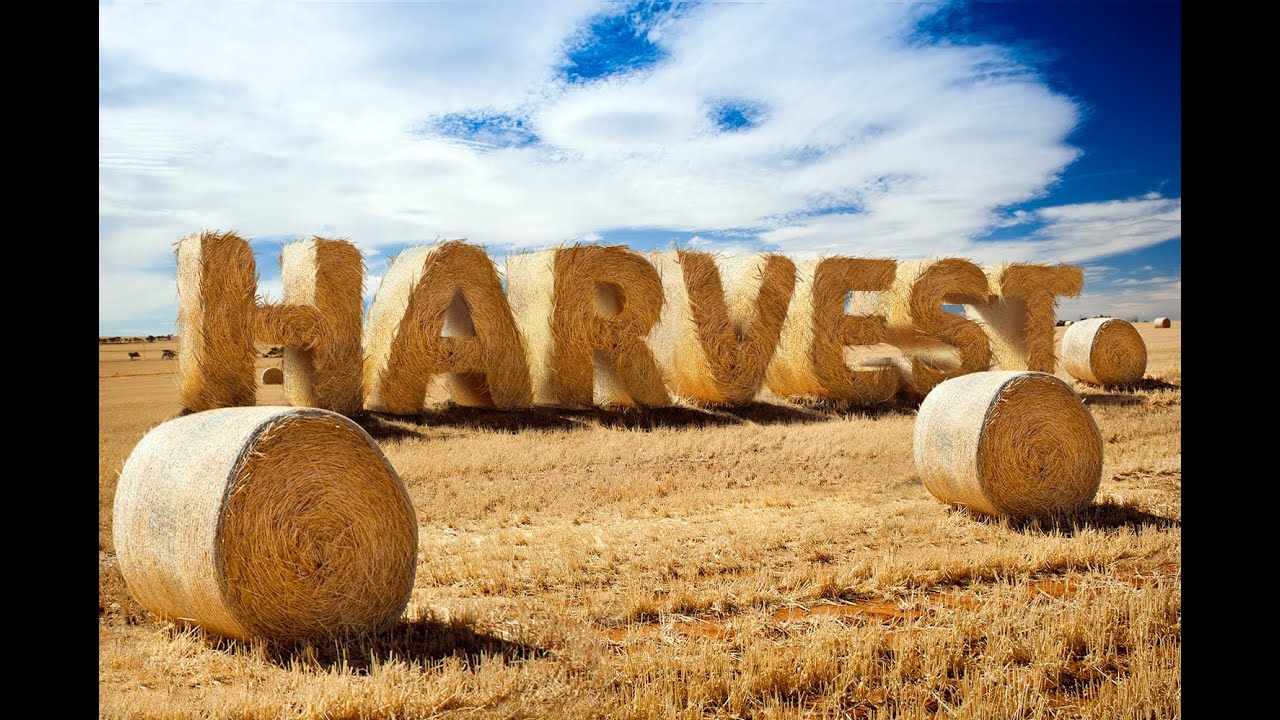 How To Create Stylized Hay Bale Typography In Adobe Photoshop