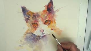 Watercolour Kitten with Joanne Boon Thomas