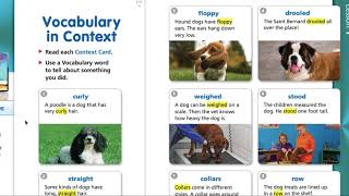 Henry and Mudge, Vocabulary, Unit 1, Lesson 1, Journeys 2nd grade, 10/06/2020