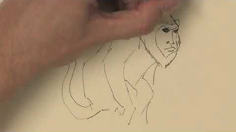 How to Draw a Howler Monkey