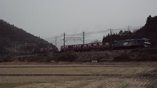 ＥＦ２１０－１０１牽引臨高速８０５２レ柏原通過(2021.1.10)