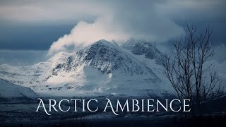 ARCTIC Ambience  sounds of blizzard with atmospheric fantasy music