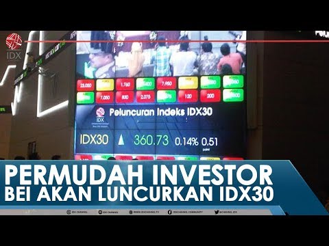 PERMUDAH INVESTOR, BEI AKAN LUNCURKAN IDX30