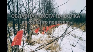 Облавная охота на волка. Ружье ТОЗ-87. traditional Russian wolf hunt.