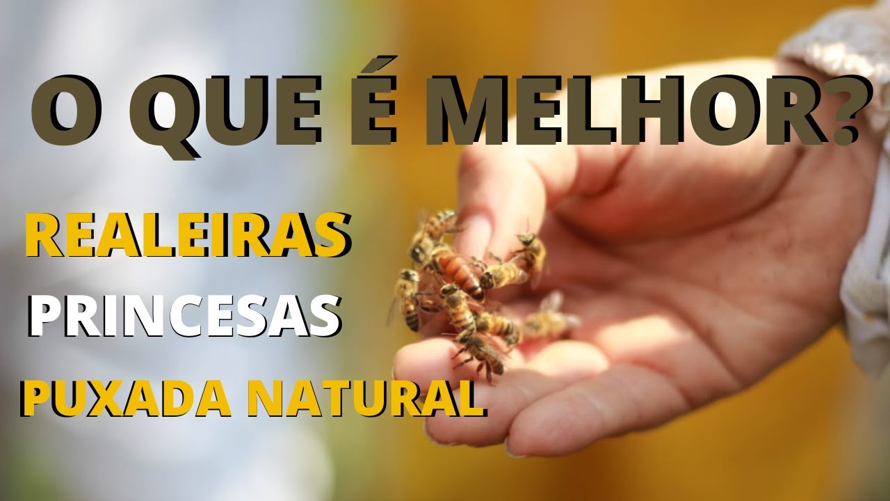 O QUE É  MELHOR? PRINCESAS, REALEIRAS OU PUXADA NATURAL?