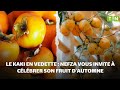 Le Kaki En Vedette Nefza Vous Invite à Célébrer Son Fruit D Automne 