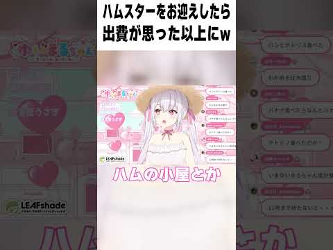 ハムスターをお迎えしたら出費が予想以上になったwww #vtuber #ゆいまるちゃん