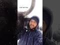 Live #snowfall #sonamarg ⛈️☁️❄️🌨️ #gulmarg