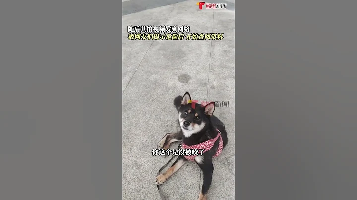 6月21日浙江宁波，男子发视频称自己不慎受伤，因懒得找药水，让狗舔“消毒”，被网友提示危险，最终去医院喜提四针狂犬疫苗。 #shorts - 天天要闻