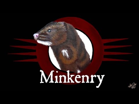 Minkenry Introduction