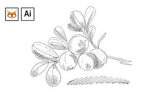 :     Adobe Illustrator   