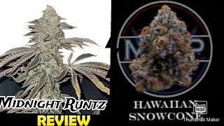 S7 Episode 2 Midnight Runtz + Hawaiian Snowcone Strain Review
