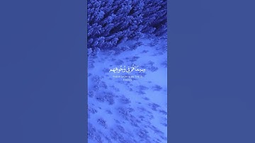 محمد رسول اللّه |  سورة الفتح#قرآن كريم #ياسر الدوسري
